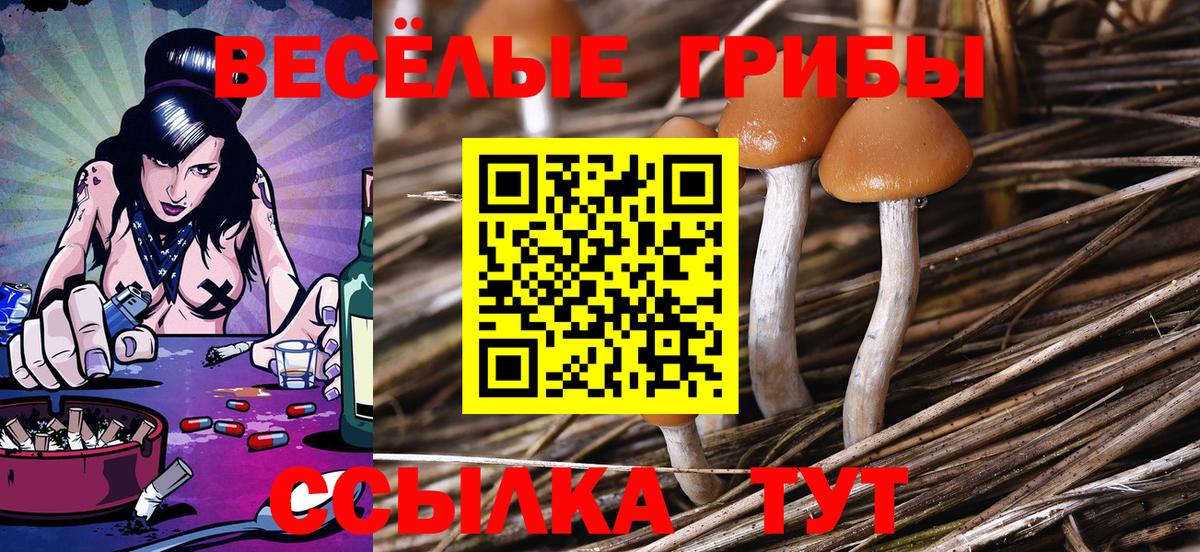 Томск  Псилоцибиновые грибы мицелий  наркота  Вход с VPN 