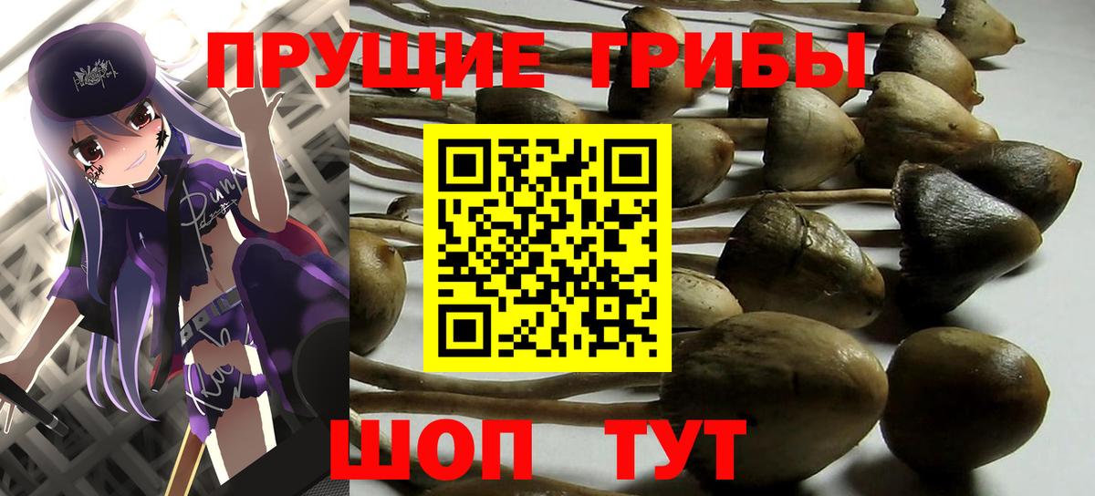Галлюциногенные грибы мицелий Томск
