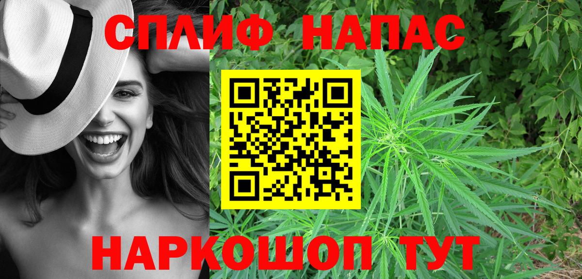 Бошки Шишки Томск